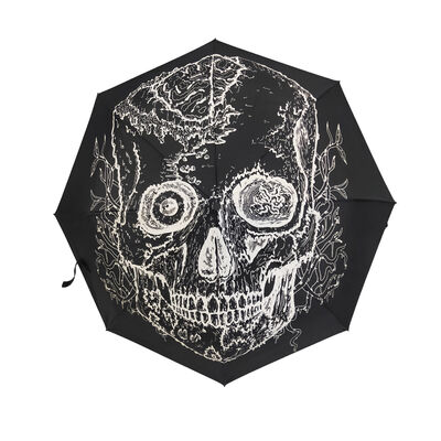 Chiếc ô gập Xiamen có 8 xương sườn 27cm Chiếc ô có chiều dài khép kín Thiết kế nhẹ lý tưởng cho du lịch kinh doanh và các hoạt động ngoài trời