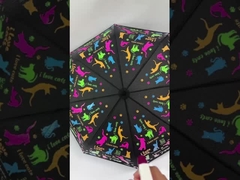 Chiếc ô sáng tạo